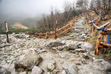 Polonya Yüksek Tatra Dağları 'ndaki Tatra Ulusal Parkı. Morskie Gölü (Deniz Gölü 'nün Gözü) sisli ve yağmurlu bir günde, Zakopane, Polonya, Avrupa.