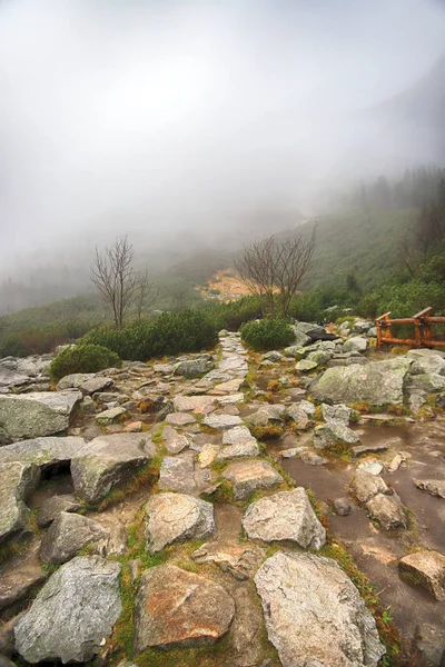Polonya Yüksek Tatra Dağları 'ndaki Tatra Ulusal Parkı. Morskie Gölü (Deniz Gölü 'nün Gözü) sisli ve yağmurlu bir günde, Zakopane, Polonya, Avrupa.