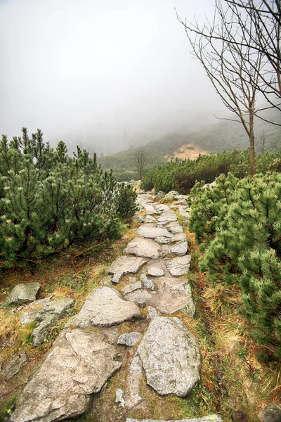 Polonya Yüksek Tatra Dağları 'ndaki Tatra Ulusal Parkı. Morskie Gölü (Deniz Gölü 'nün Gözü) sisli ve yağmurlu bir günde, Zakopane, Polonya, Avrupa.