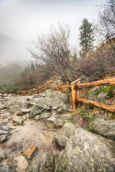 Polonya Yüksek Tatra Dağları 'ndaki Tatra Ulusal Parkı. Morskie Gölü (Deniz Gölü 'nün Gözü) sisli ve yağmurlu bir günde, Zakopane, Polonya, Avrupa.