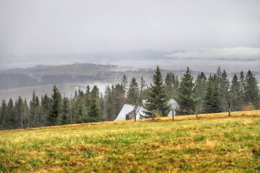 Zakopane, Polonya - Kasım 06, 2019: Sonbaharda Tatra Ulusal Parkı. Polonya Tatra Dağları sabah erken saatlerde manzara, Zakopane, Polonya, Avrupa.