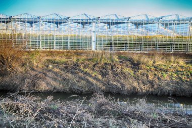 Wroclaw, Polonya - 03 Aralık 2019: Wroclaw, Polonya, Avrupa yakınlarındaki Siechnice 'de bulunan modern sera kompleksi. Citronex, Polonya 'nın önde gelen domates üreticilerinden biri..