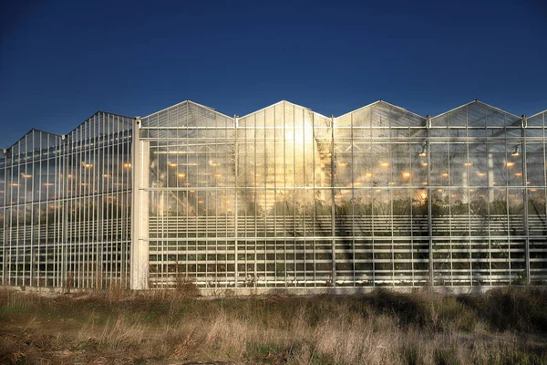 Wroclaw Poland December 2019 Modern Greenhouse Complex Located Siechnice Wroclaw — Stock Photo, Image