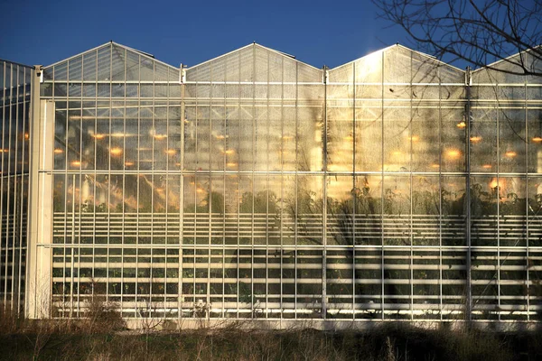 Wroclaw Poland December 2019 Modern Greenhouse Complex Located Siechnice Wroclaw — Stock Photo, Image