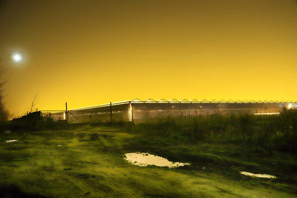ポーランドのヴロツワフ 2019年12月3日 ヴロツワフ近くのシチェニツェに位置する近代的な温室複合施設の夜景 Citronexはポーランドの温室トマトの大手生産者です — ストック写真