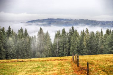 Fırtınalı havada Tatra Ulusal Parkı. Polonya Tatra Dağlarının Panorama 'sı, sisli ve yağmurlu bir günde, Zakopane, Polonya, Avrupa.