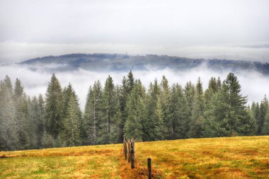 Fırtınalı havada Tatra Ulusal Parkı. Polonya Tatra Dağlarının Panorama 'sı, sisli ve yağmurlu bir günde, Zakopane, Polonya, Avrupa.