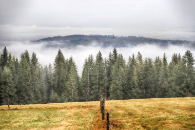 Fırtınalı havada Tatra Ulusal Parkı. Polonya Tatra Dağlarının Panorama 'sı, sisli ve yağmurlu bir günde, Zakopane, Polonya, Avrupa.