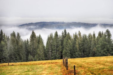 Fırtınalı havada Tatra Ulusal Parkı. Polonya Tatra Dağlarının Panorama 'sı, sisli ve yağmurlu bir günde, Zakopane, Polonya, Avrupa.