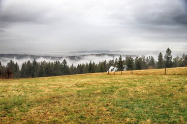 Fırtınalı havada Tatra Ulusal Parkı. Polonya Tatra Dağlarının Panorama 'sı, sisli ve yağmurlu bir günde, Zakopane, Polonya, Avrupa.