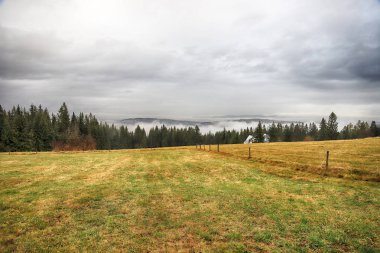 Fırtınalı havada Tatra Ulusal Parkı. Polonya Tatra Dağlarının Panorama 'sı, sisli ve yağmurlu bir günde, Zakopane, Polonya, Avrupa.