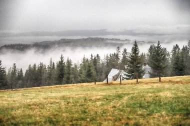 Fırtınalı havada Tatra Ulusal Parkı. Polonya Tatra Dağlarının Panorama 'sı, sisli ve yağmurlu bir günde, Zakopane, Polonya, Avrupa.