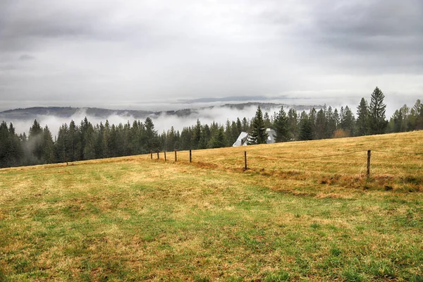 Fırtınalı havada Tatra Ulusal Parkı. Polonya Tatra Dağlarının Panorama 'sı, sisli ve yağmurlu bir günde, Zakopane, Polonya, Avrupa.
