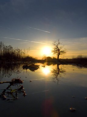 Wroclaw yakınlarındaki Siechnice 'de kış günbatımı su yansıması. Şubat ayında sağanak yağış sonrasında sel baskınları.