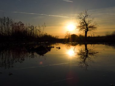 Wroclaw yakınlarındaki Siechnice 'de kış günbatımı su yansıması. Şubat ayında sağanak yağış sonrasında sel baskınları.