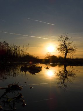 Wroclaw yakınlarındaki Siechnice 'de kış günbatımı su yansıması. Şubat ayında sağanak yağış sonrasında sel baskınları.