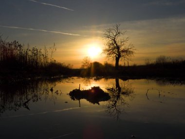 Wroclaw yakınlarındaki Siechnice 'de kış günbatımı su yansıması. Şubat ayında sağanak yağış sonrasında sel baskınları.