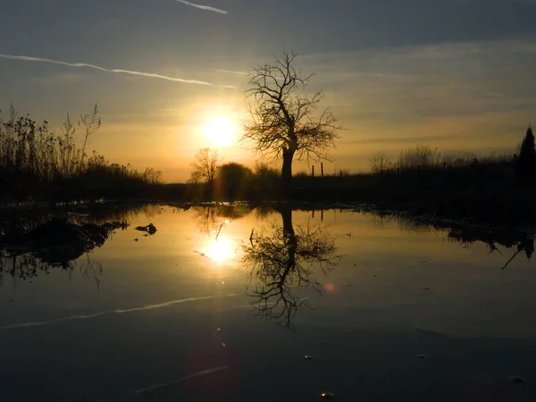 Vinter Solnedgång Siechnice Nära Wroclaw Vatten Reflektion Översvämmade Fält Efter — Stockfoto