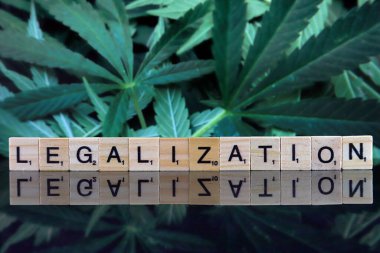 Wroclaw, Polonya - 23 Şubat 2020: Arkaplanda Scrabble harfleri ve marihuana yapraklarından oluşan yasallaşma kelimesi. Uyuşturucu politikası. Esrarın yasallaştırılması.