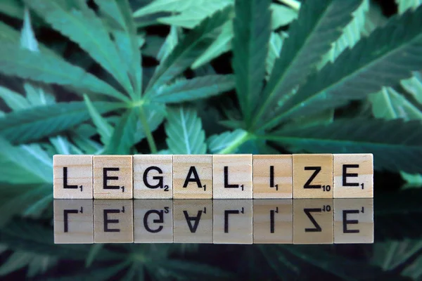 Wroclaw Polen Februari 2020 Het Woord Legalize Gemaakt Van Scrabble — Stockfoto