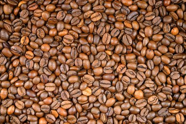 Whole coffee grains background. Conceptual image for lovers of delicious coffee.