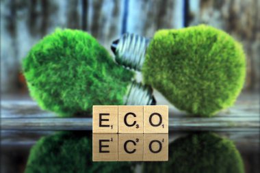 WROCLAW, POLAND - FEBRUARY 28, 2020: The word ECO made of scrabble letters, two green eco light bulbs with grass and wooden background. Renewable energy and energy saving concept.