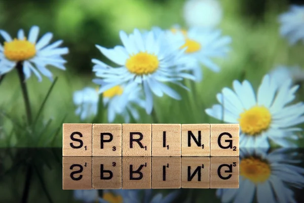 Wroclaw Poland February 2020 Word Spring Made Scrabble Letters Spring — Stock Photo, Image