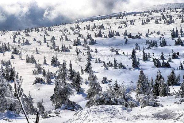 Karpacz Pologne Mars 2020 Sentier Touristique Vers Sniezka Montagne Frontière — Photo