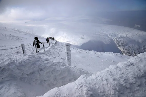 Karpacz Poland March 2020 Tourist Trail Sniezka Mountain Border Czech — 图库照片