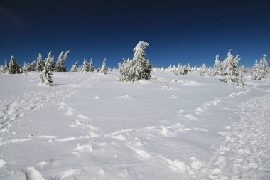 KARPACZ, POLAND - 08 Mart 2020: Sniezka 'ya turist yolu (Çek Cumhuriyeti ile Polonya arasındaki sınır). Kış manzarası. Dev Dağlar, Polonya, Avrupa.