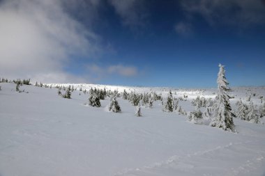 KARPACZ, POLAND - 08 Mart 2020: Sniezka 'ya turist yolu (Çek Cumhuriyeti ile Polonya arasındaki sınır). Kış manzarası. Dev Dağlar, Polonya, Avrupa.
