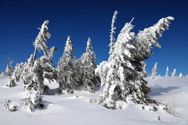 Karpacz Polonia Marzo 2020 Sentiero Turistico Sniezka Montagna Confine Tra — Foto Stock