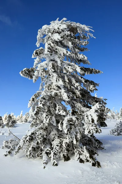 Karpacz Polonia Marzo 2020 Ruta Turística Sniezka Montaña Frontera Entre — Foto de Stock