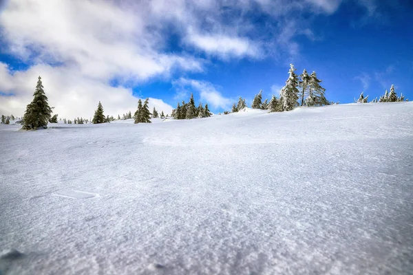 Karpacz Poland March 2020 Tourist Trail Sniezka Mountain Border Czech — Stock Photo, Image