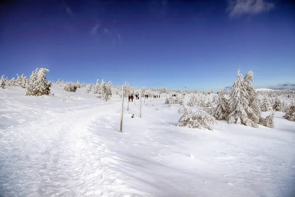 Karpacz Poland Mart 2020 Sniezka Turist Yolu Çek Cumhuriyeti Ile — Stok fotoğraf