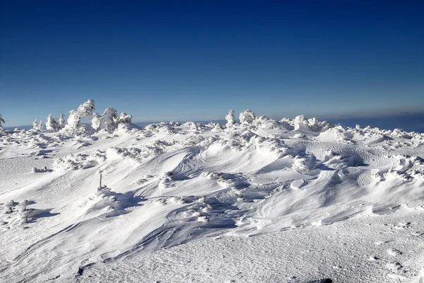 Karpacz Polonia Marzo 2020 Sentiero Turistico Sniezka Montagna Confine Tra — Foto Stock