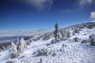 KARPACZ, POLAND - 08 Mart 2020: Sniezka 'ya turist yolu (Çek Cumhuriyeti ile Polonya arasındaki sınır). Kış manzarası. Dev Dağlar, Polonya, Avrupa.