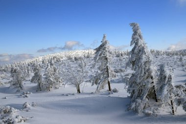 KARPACZ, POLAND - 08 Mart 2020: Sniezka 'ya turist yolu (Çek Cumhuriyeti ile Polonya arasındaki sınır). Kış manzarası. Dev Dağlar, Polonya, Avrupa.
