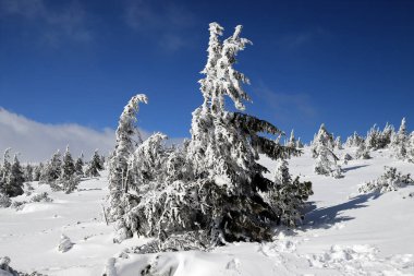 KARPACZ, POLAND - 08 Mart 2020: Sniezka 'ya turist yolu (Çek Cumhuriyeti ile Polonya arasındaki sınır). Kış manzarası. Dev Dağlar, Polonya, Avrupa.