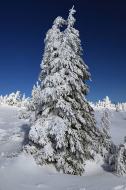 KARPACZ, POLAND - 08 Mart 2020: Sniezka 'ya turist yolu (Çek Cumhuriyeti ile Polonya arasındaki sınır). Kış manzarası. Dev Dağlar, Polonya, Avrupa.