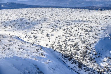 KARPACZ, POLAND - 08 Mart 2020: Sniezka 'ya turist yolu (Çek Cumhuriyeti ile Polonya arasındaki sınır). Kış manzarası. Dev Dağlar, Polonya, Avrupa.