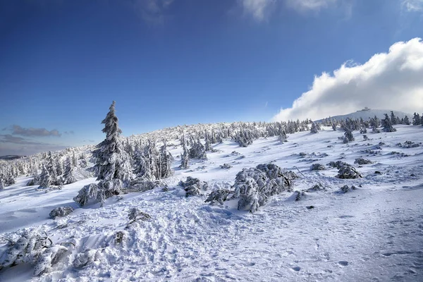 KARPACZ, POLAND - MARCH 08, 2020: Tourist trail to Sniezka (mountain on the border between the Czech Republic and Poland). Winter landscape. Giant Mountains, Poland, Europe.