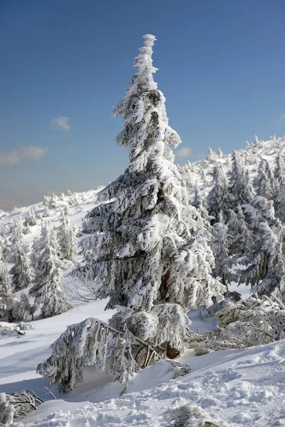 Karpacz Polónia Março 2020 Trilha Turística Para Sniezka Montanha Fronteira — Fotografia de Stock