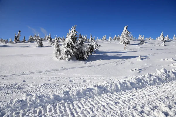 Karpacz Pologne Mars 2020 Sentier Touristique Vers Sniezka Montagne Frontière — Photo