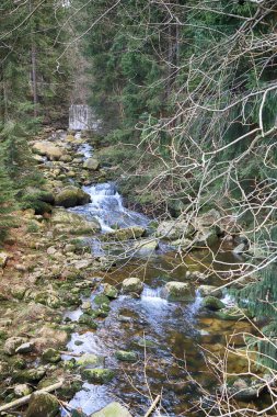 KARPACZ, POLAND - 07 Mart 2020 Polonya dağlarında vahşi şelale. Karpacz, Polonya, Avrupa 'da çağlayan nehirler.
