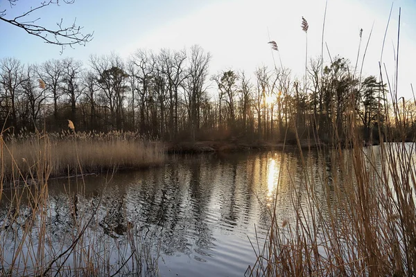 Wroclaw Poland March 2020 Natura 2000 Network Nature Protection Areas — Stock Photo, Image