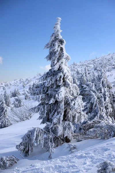 Karpacz Polonia Marzo 2020 Ruta Turística Sniezka Montaña Frontera Entre —  Fotos de Stock