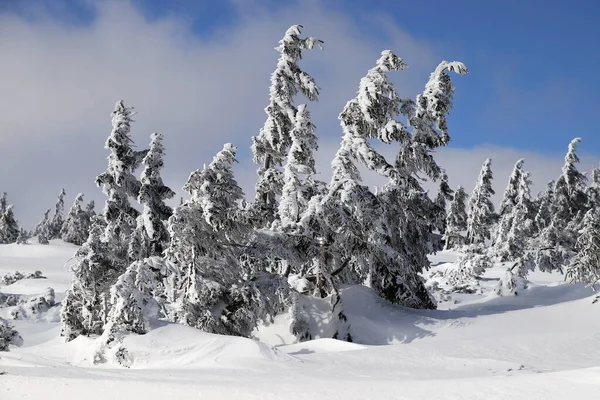 Karpacz Pologne Mars 2020 Sentier Touristique Vers Sniezka Montagne Frontière — Photo