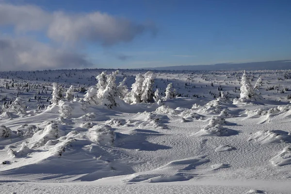 カルパツ ポーランド 2020年3月8日 シェツカへの観光コース チェコとポーランドの国境にある山 冬の風景 巨人山脈 ポーランド ヨーロッパ — ストック写真