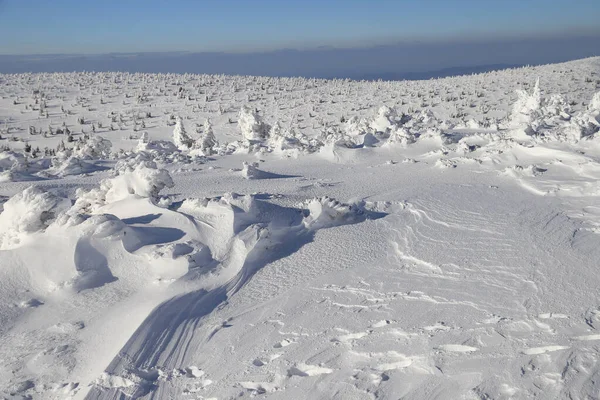 Karpacz Pologne Mars 2020 Sentier Touristique Vers Sniezka Montagne Frontière — Photo